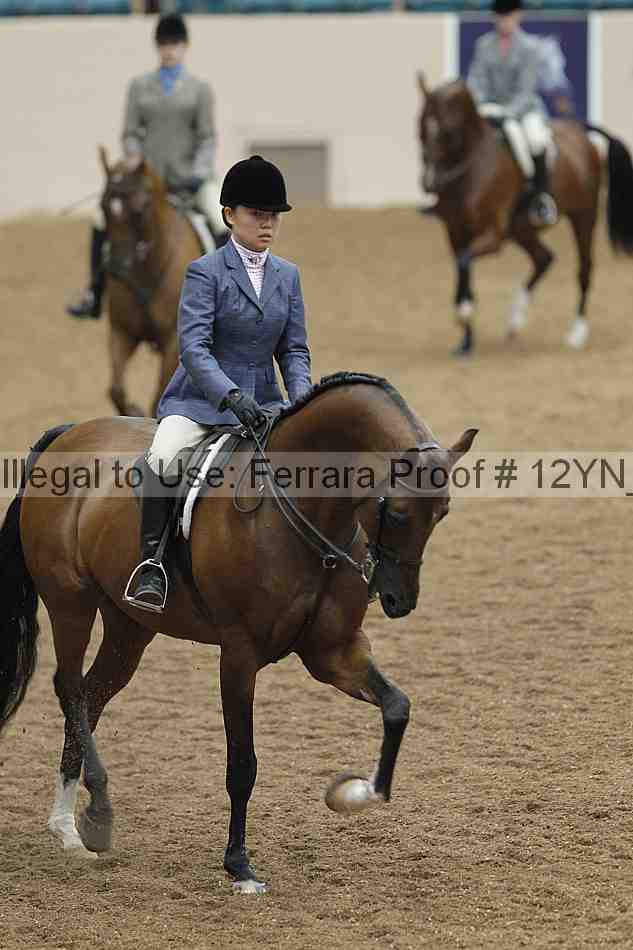 Proof 12yn_09157