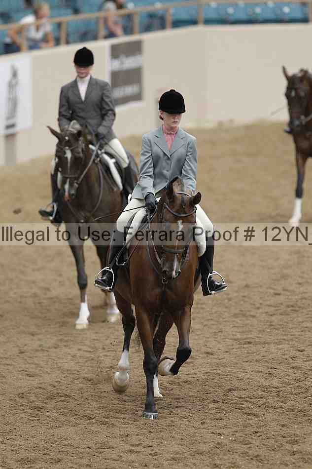 Proof 12yn_09160