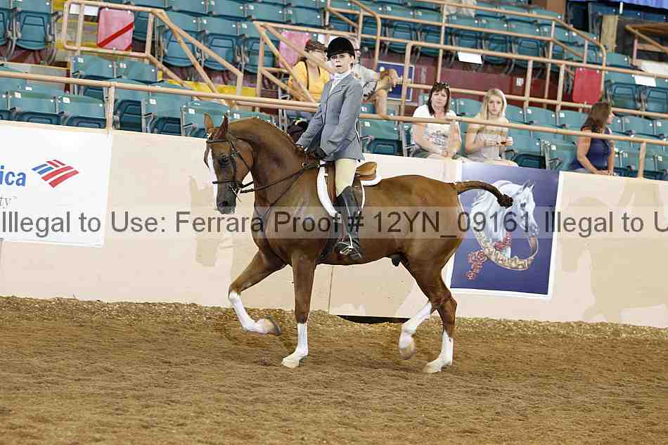 Proof 12yn_09161