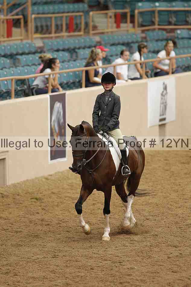 Proof 12yn_09163