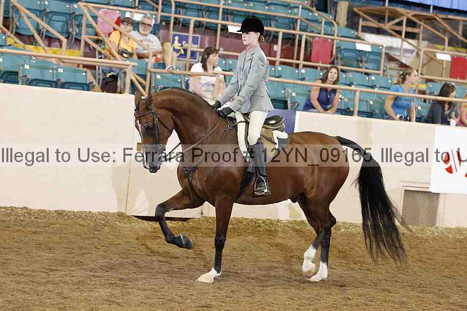 Proof 12yn_09165