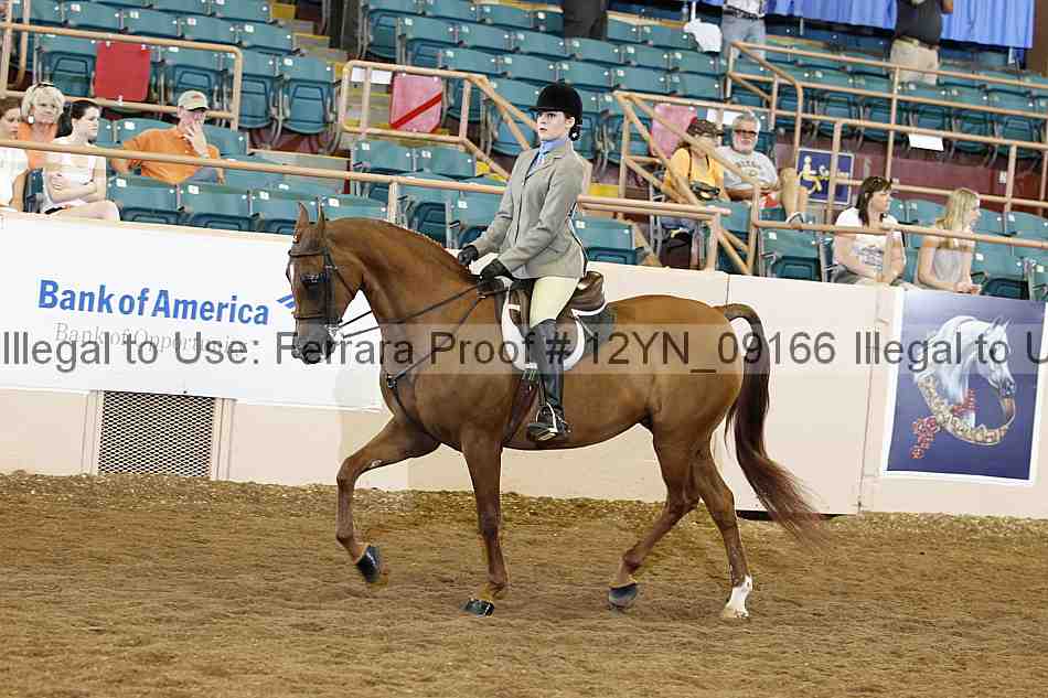 Proof 12yn_09166