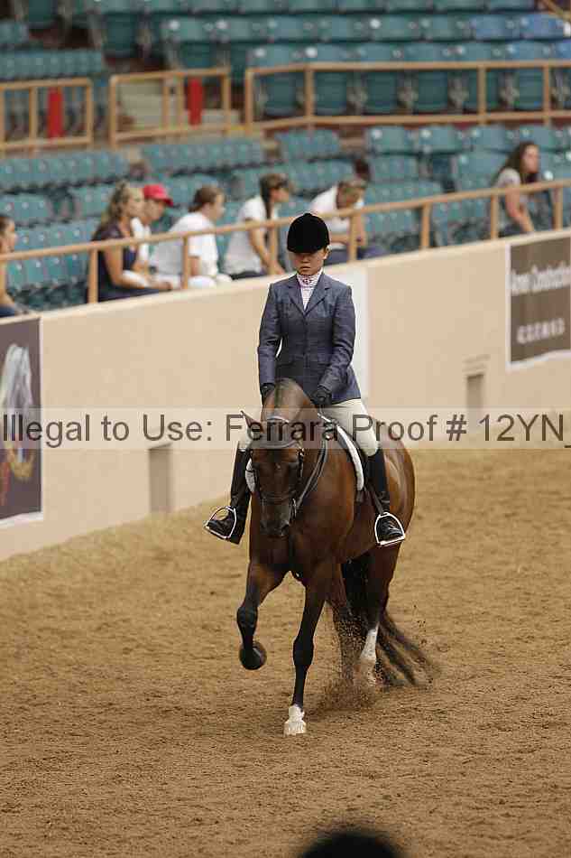 Proof 12yn_09167