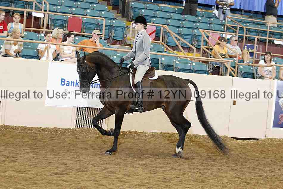 Proof 12yn_09168