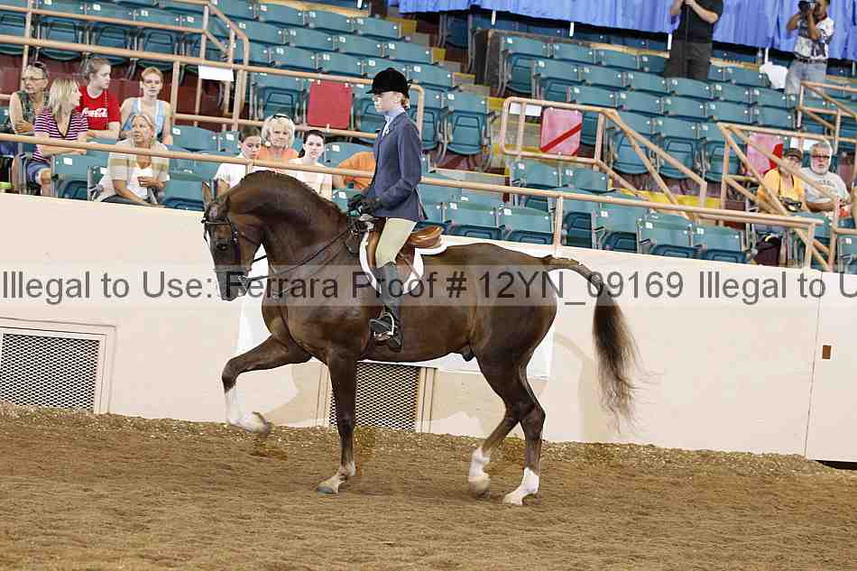 Proof 12yn_09169