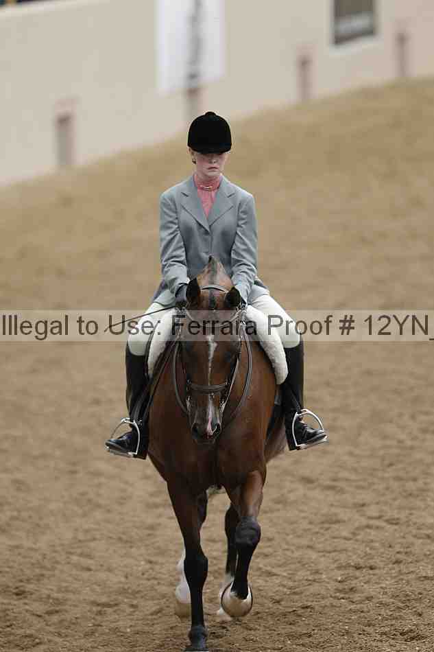Proof 12yn_09171