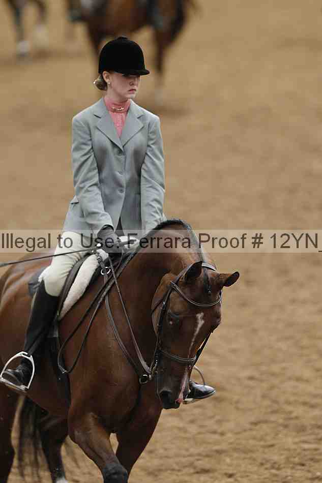 Proof 12yn_09173