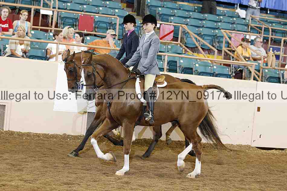 Proof 12yn_09174