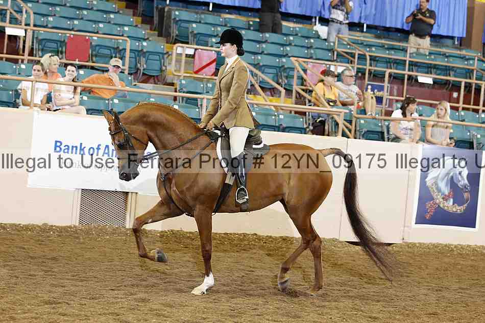 Proof 12yn_09175