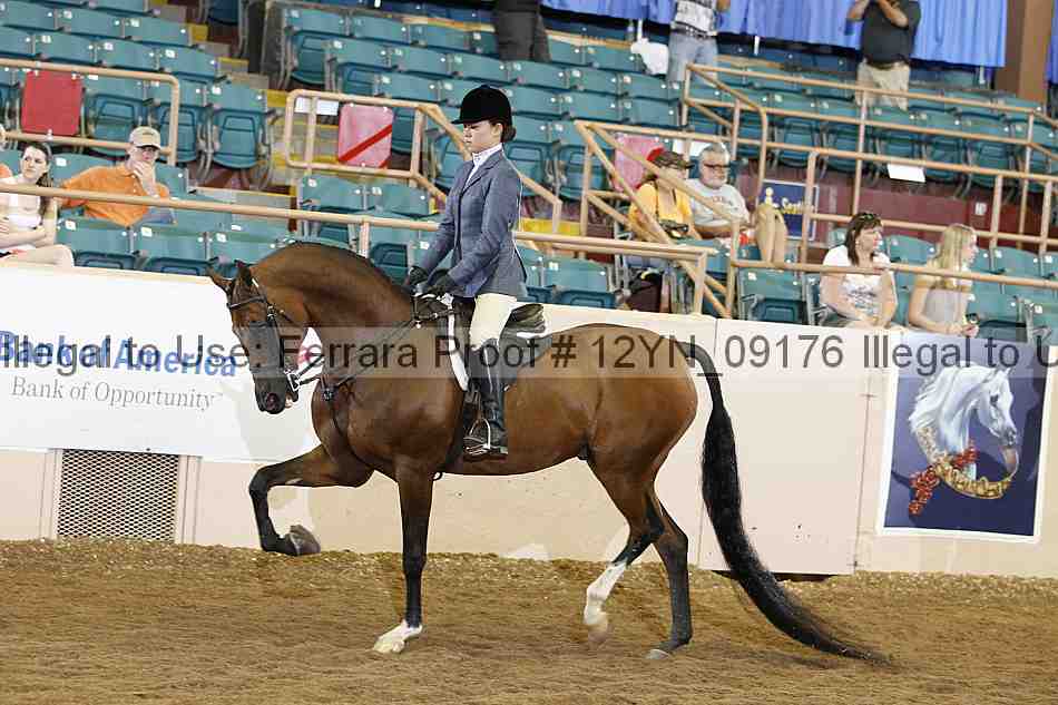 Proof 12yn_09176