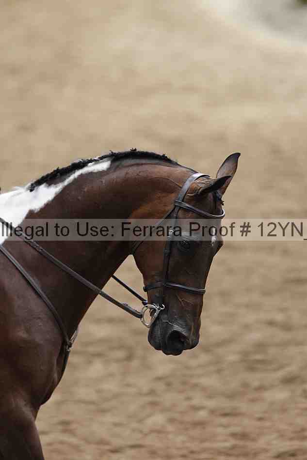 Proof 12yn_09177