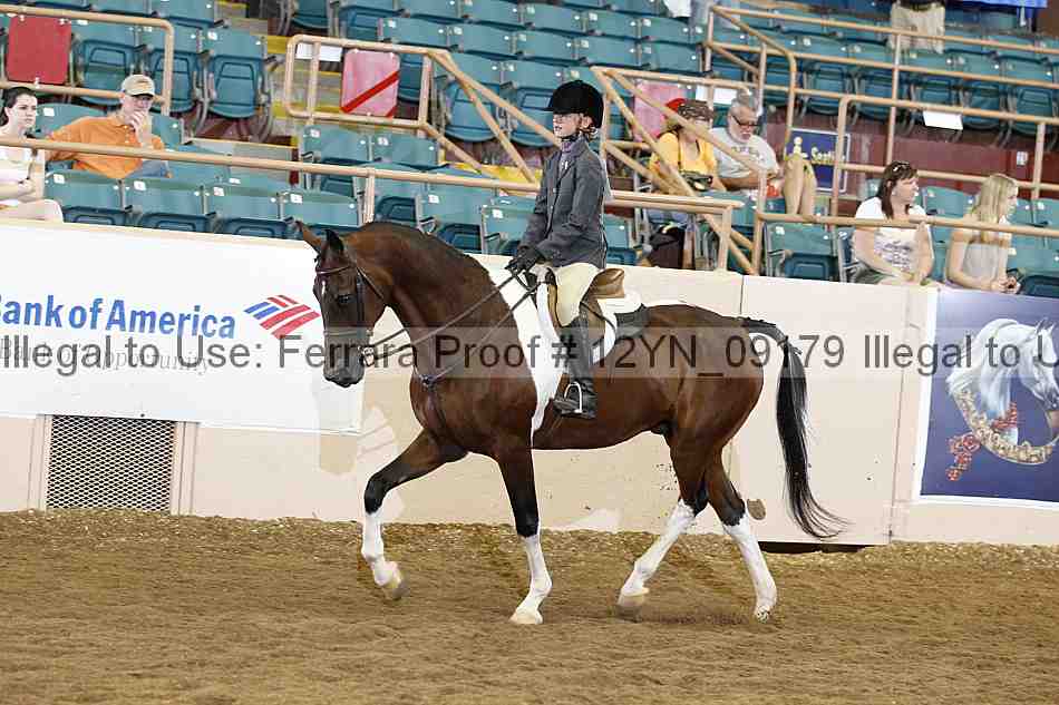 Proof 12yn_09179
