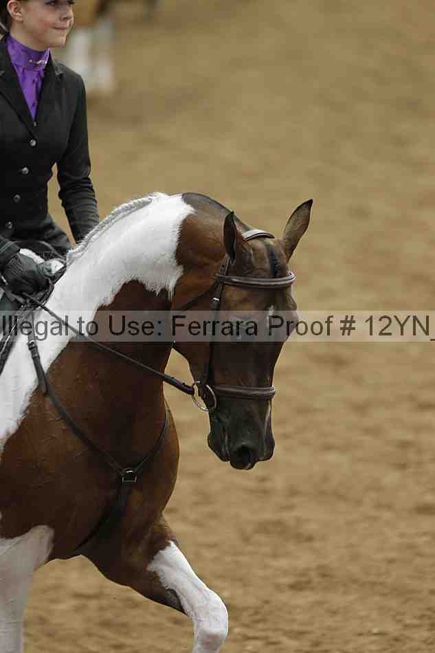 Proof 12yn_09180