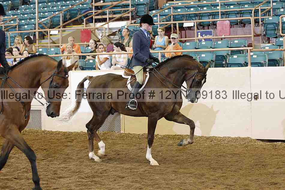 Proof 12yn_09183