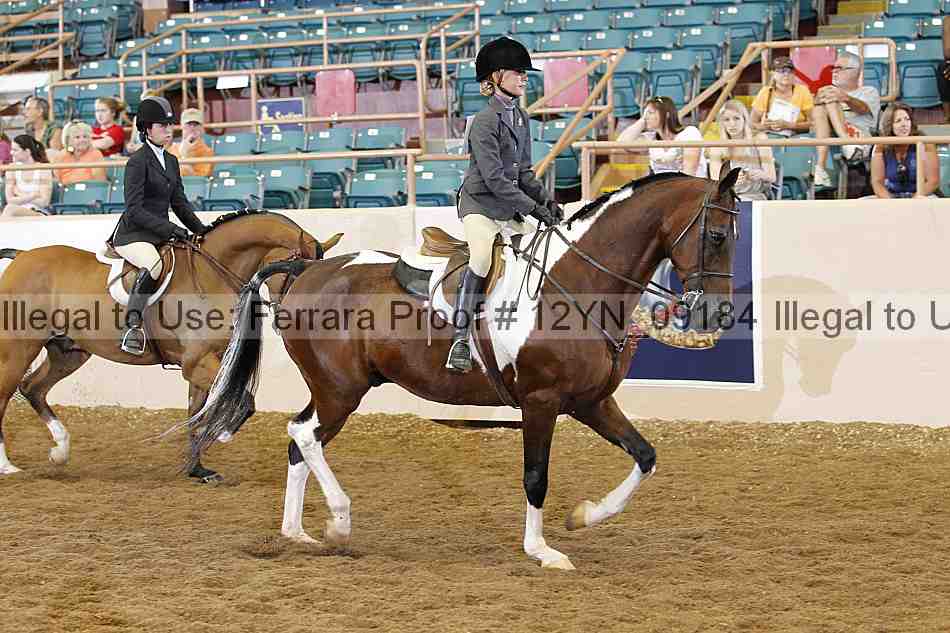 Proof 12yn_09184