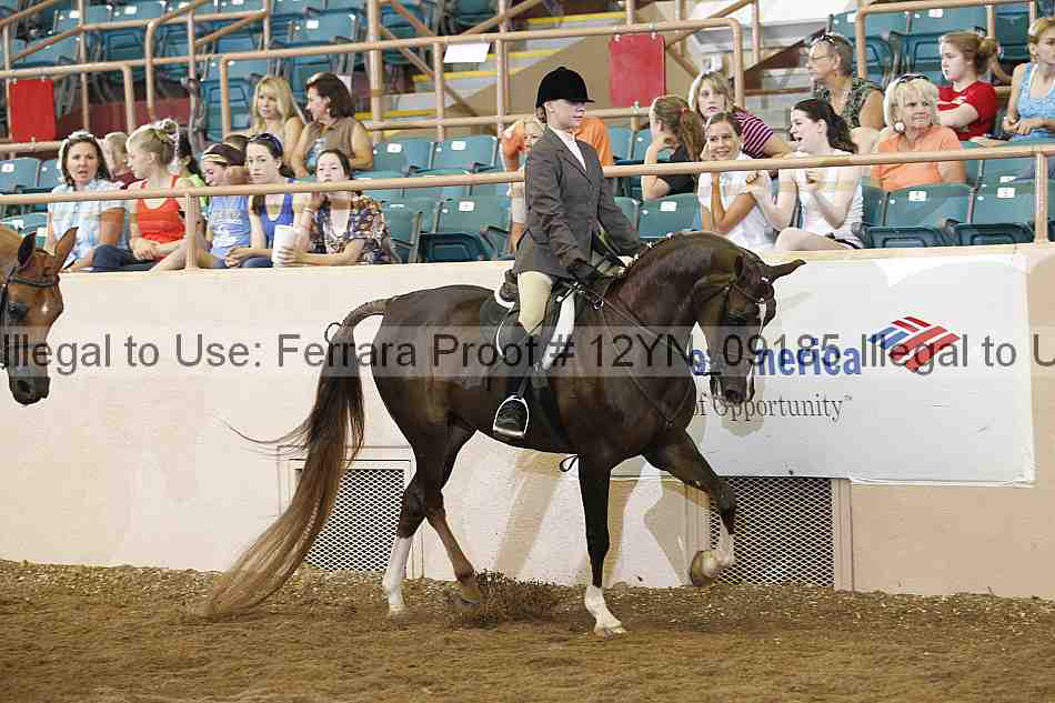 Proof 12yn_09185