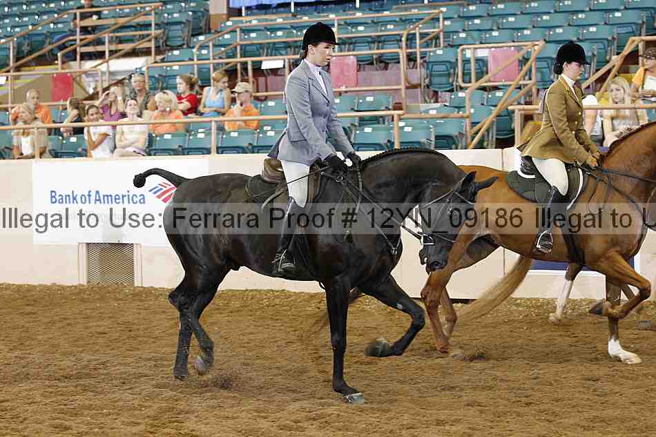 Proof 12yn_09186