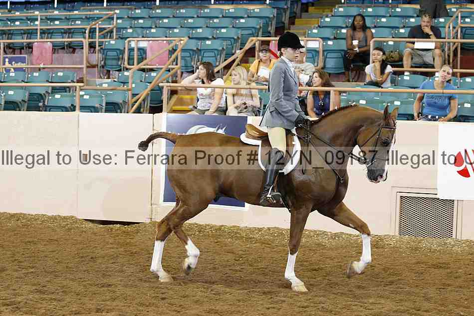 Proof 12yn_09187