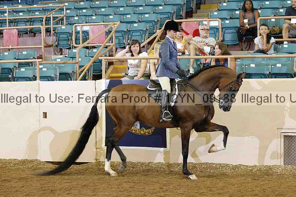 Proof 12yn_09188