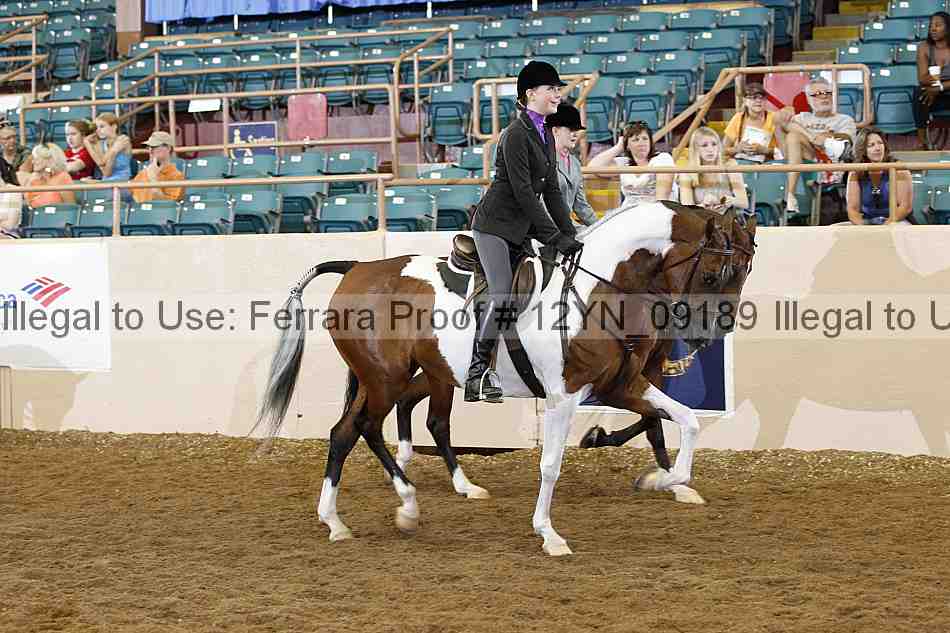 Proof 12yn_09189