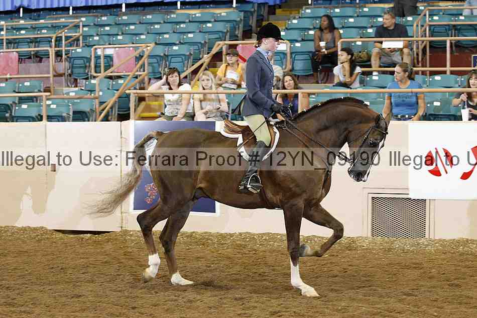 Proof 12yn_09190