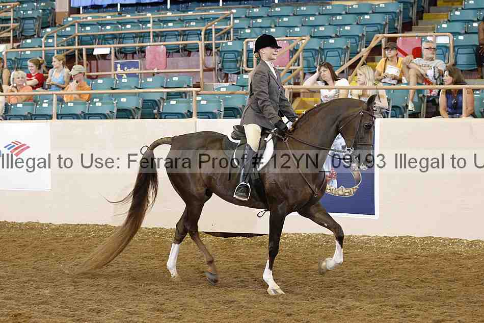 Proof 12yn_09193