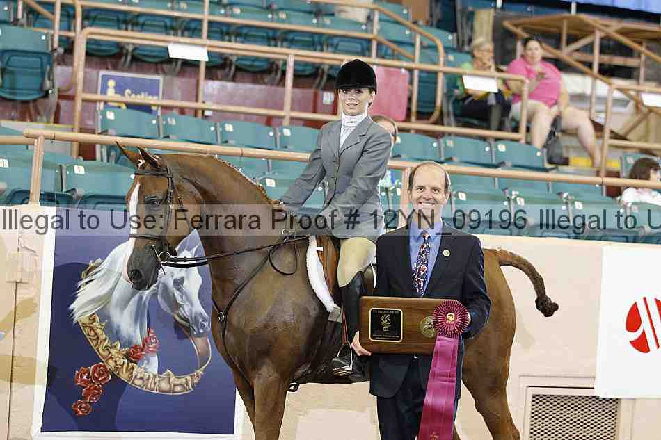 Proof 12yn_09196