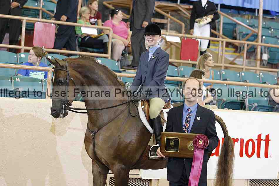 Proof 12yn_09199