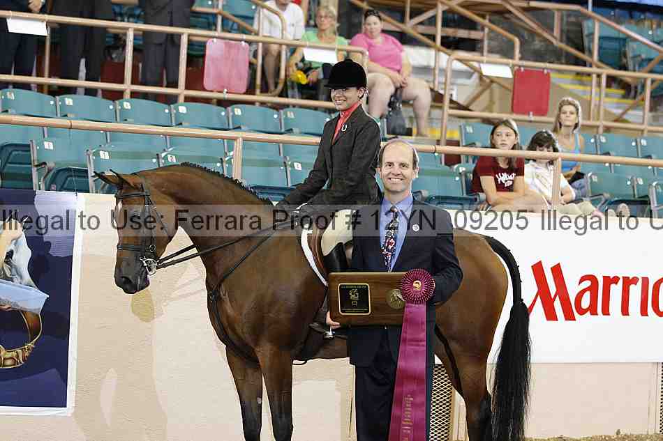 Proof 12yn_09205