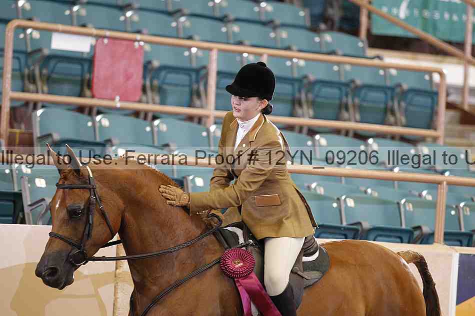Proof 12yn_09206