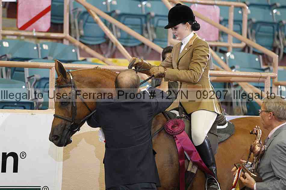 Proof 12yn_09207