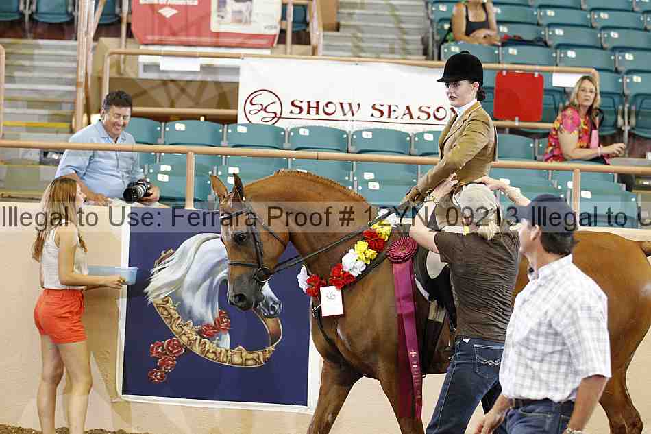 Proof 12yn_09213