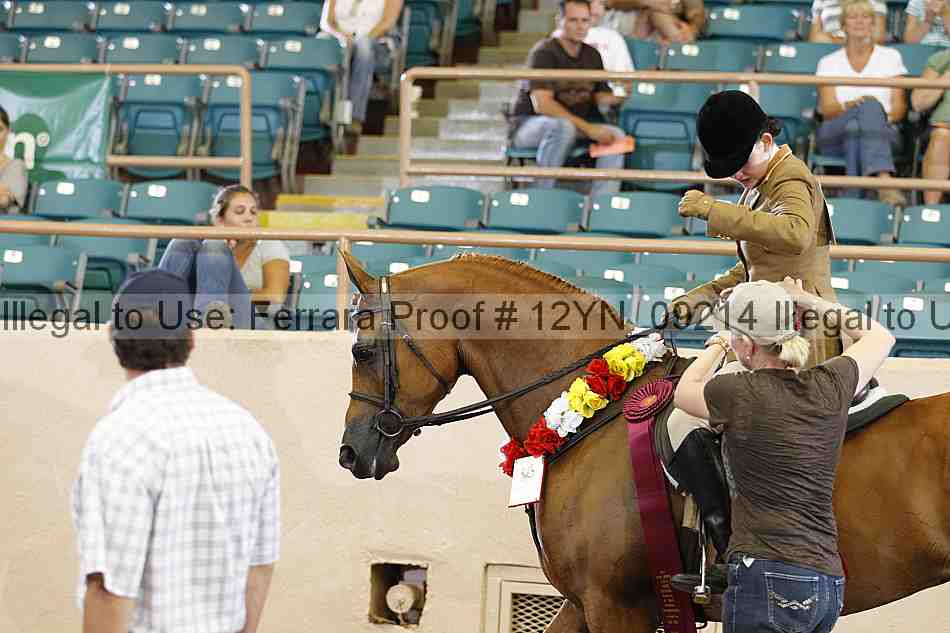 Proof 12yn_09214