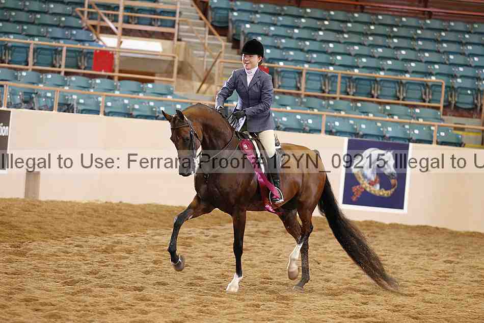 Proof 12yn_09215