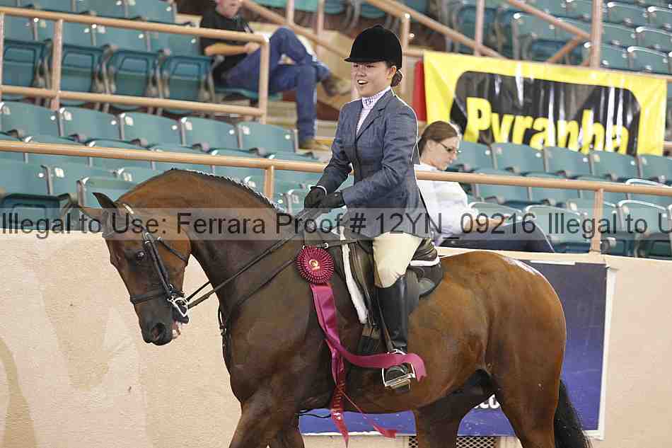 Proof 12yn_09216