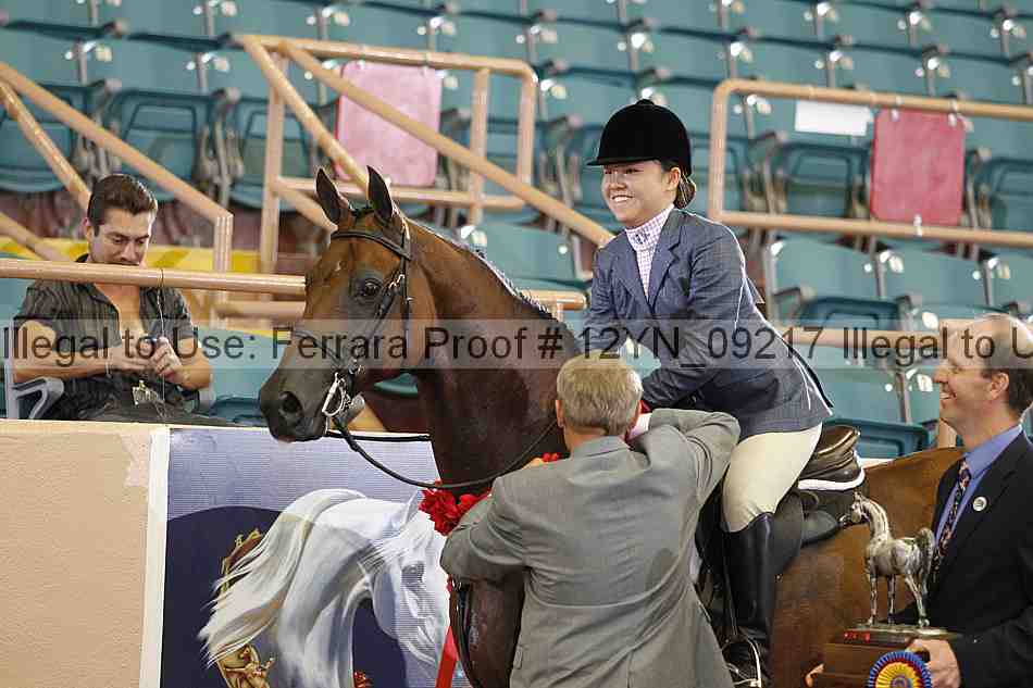 Proof 12yn_09217