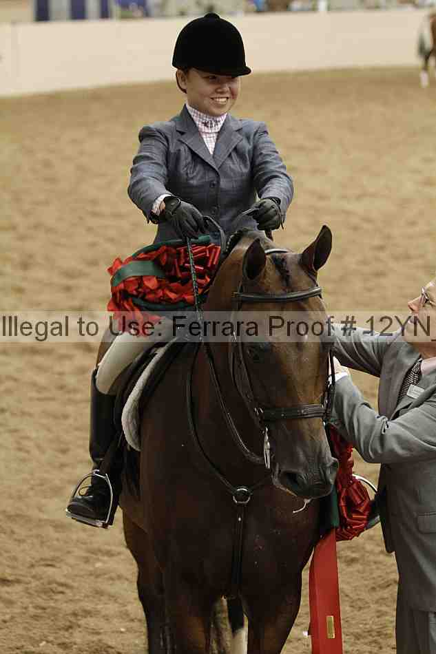 Proof 12yn_09221