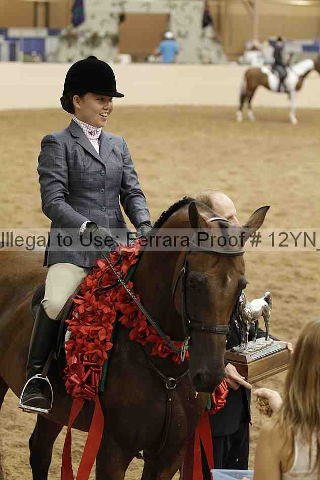 Proof 12yn_09225