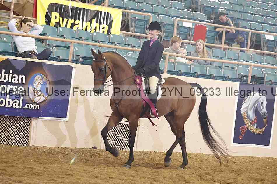 Proof 12yn_09233