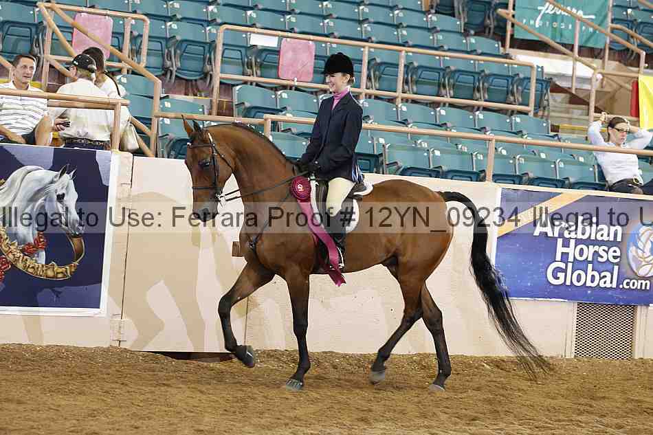 Proof 12yn_09234
