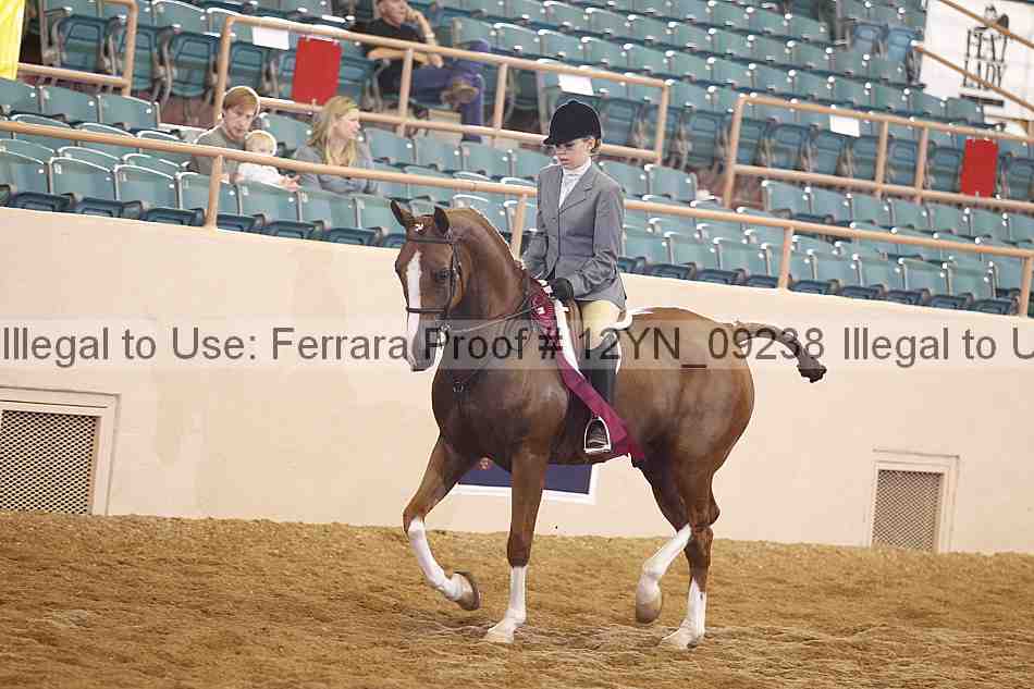 Proof 12yn_09238