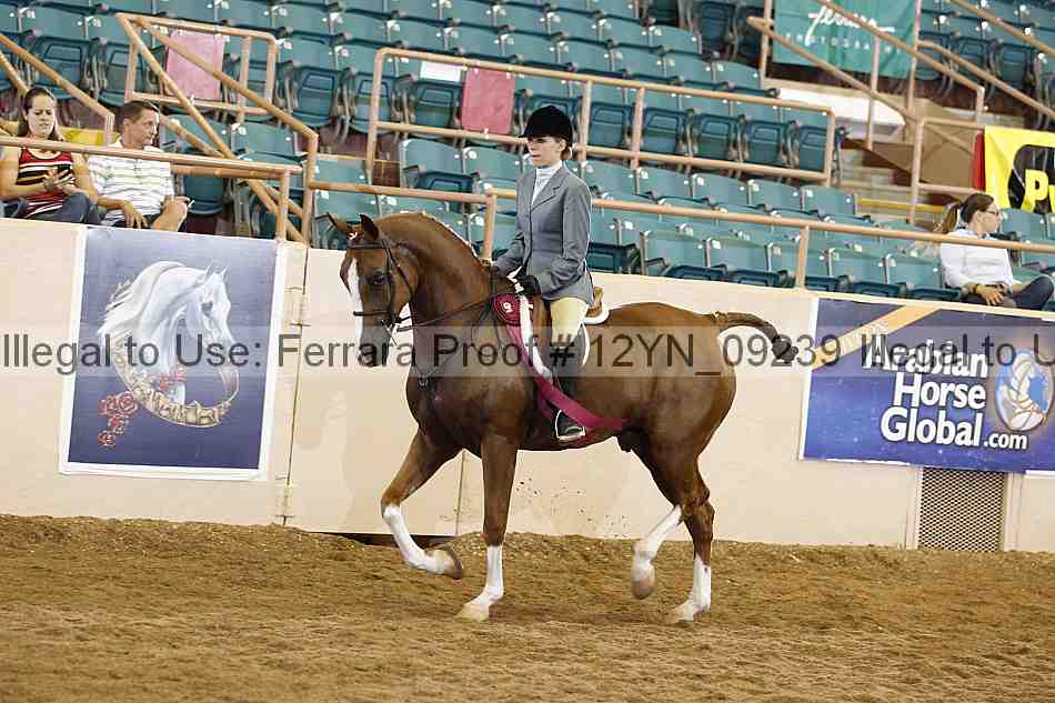 Proof 12yn_09239