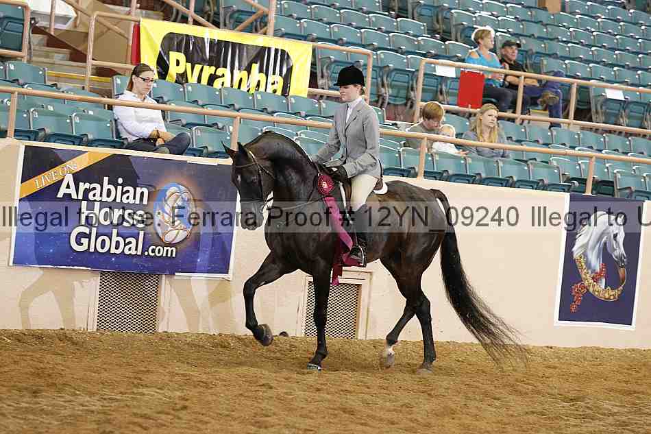 Proof 12yn_09240