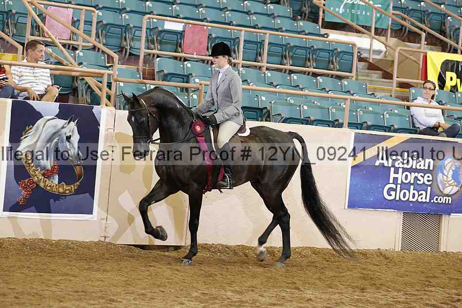 Proof 12yn_09241