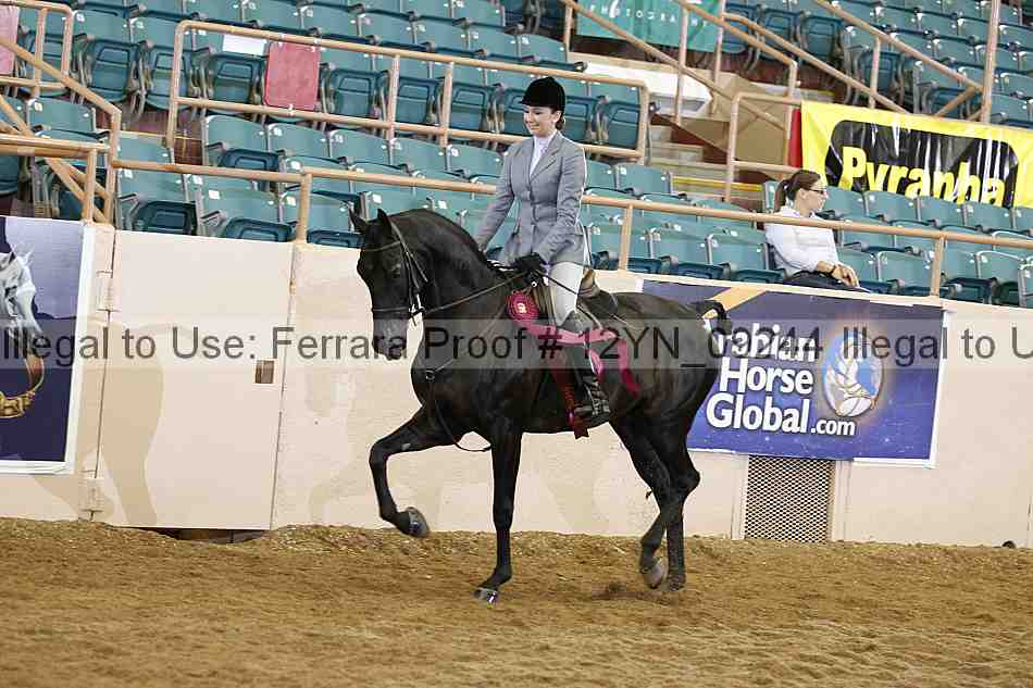Proof 12yn_09244