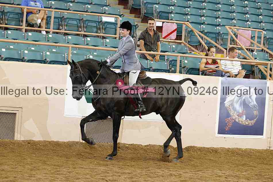 Proof 12yn_09246
