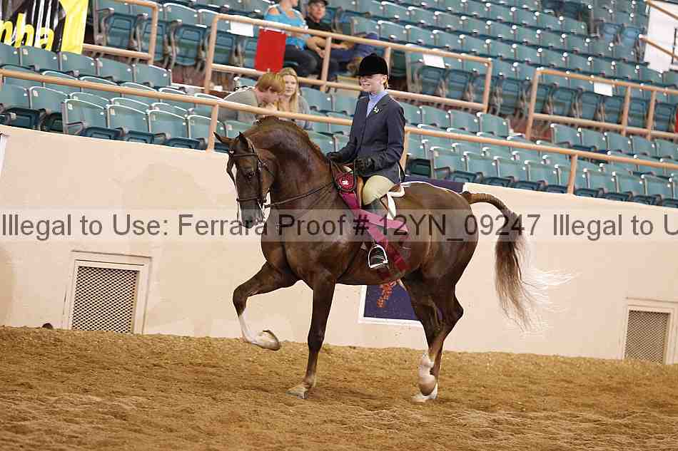 Proof 12yn_09247
