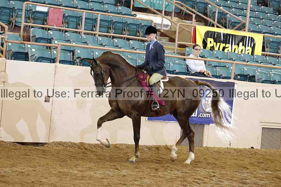 Proof 12yn_09250