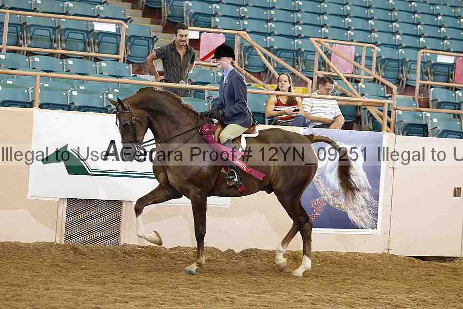 Proof 12yn_09251