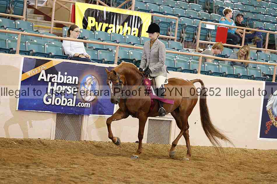 Proof 12yn_09252